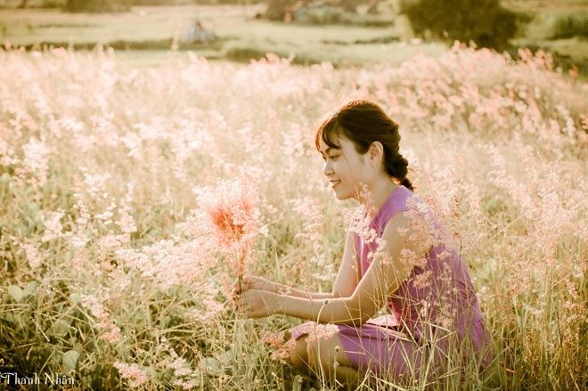 Cánh Đồng Cỏ Hồng Phú Yên - Thánh Địa "Sống Ảo" Mới 2020 | PY
