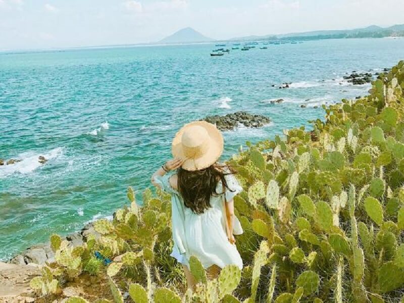 Đắm Chìm Mê Mệt Trong Bãi Xương Rồng Ở Bãi Xép