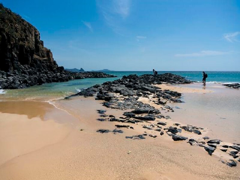 Đắm Chìm Mê Mệt Trong Bãi Xương Rồng Ở Bãi Xép