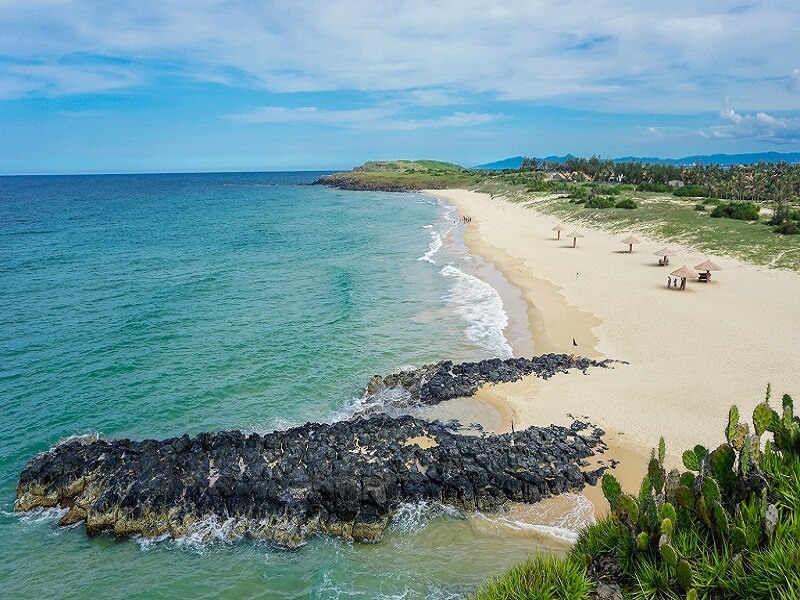 Đắm Chìm Mê Mệt Trong Bãi Xương Rồng Ở Bãi Xép