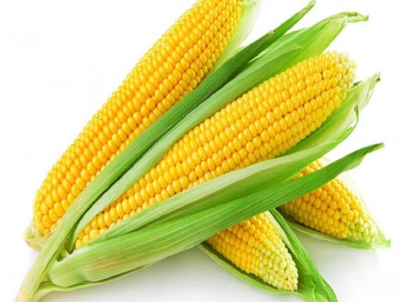 Bún Bắp Phú Yên Món Ngon Hấp Dẫn