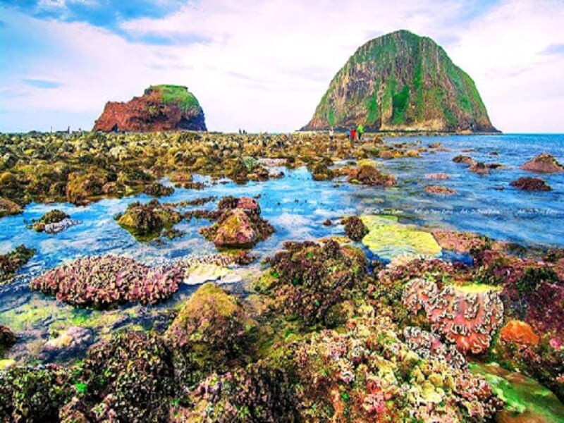 Hòn Yến - Chinh Phục Vẻ Đẹp "Hút Hồn" Như "Tiên Cảnh"