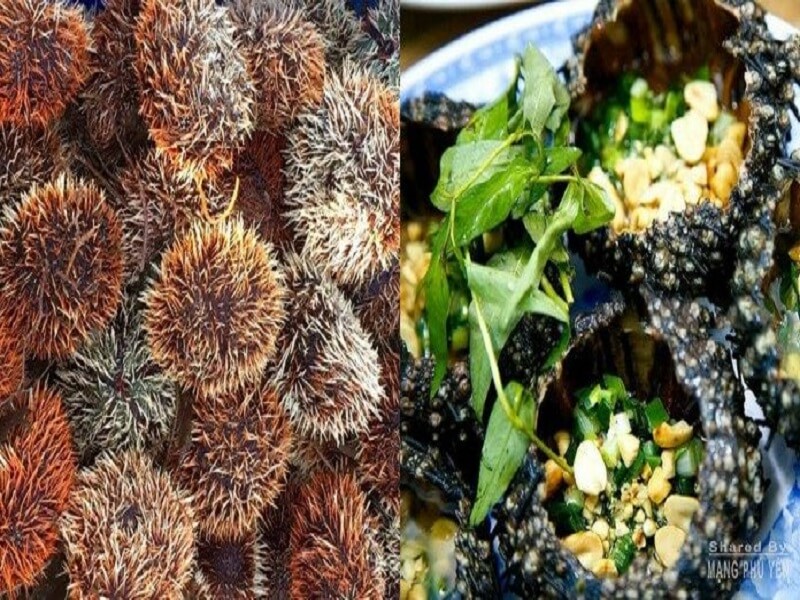 Nhum Biển Ở Phú Yên Từng Là "Thần Dược" Tiến Vua