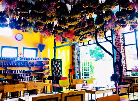 Trà Hoa Đà Lạt 1893