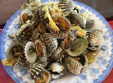 Hải Sản Trúc Kiều