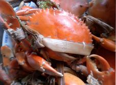 Hoài Phong - Nhà Bè Hải Sản