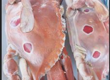 Phương Thắng - Nhà Bè Hải Sản