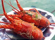 Phương Thắng - Nhà Bè Hải Sản