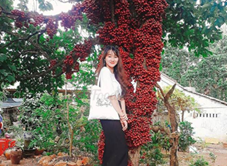 Vườn Đỏ Bốn Phương