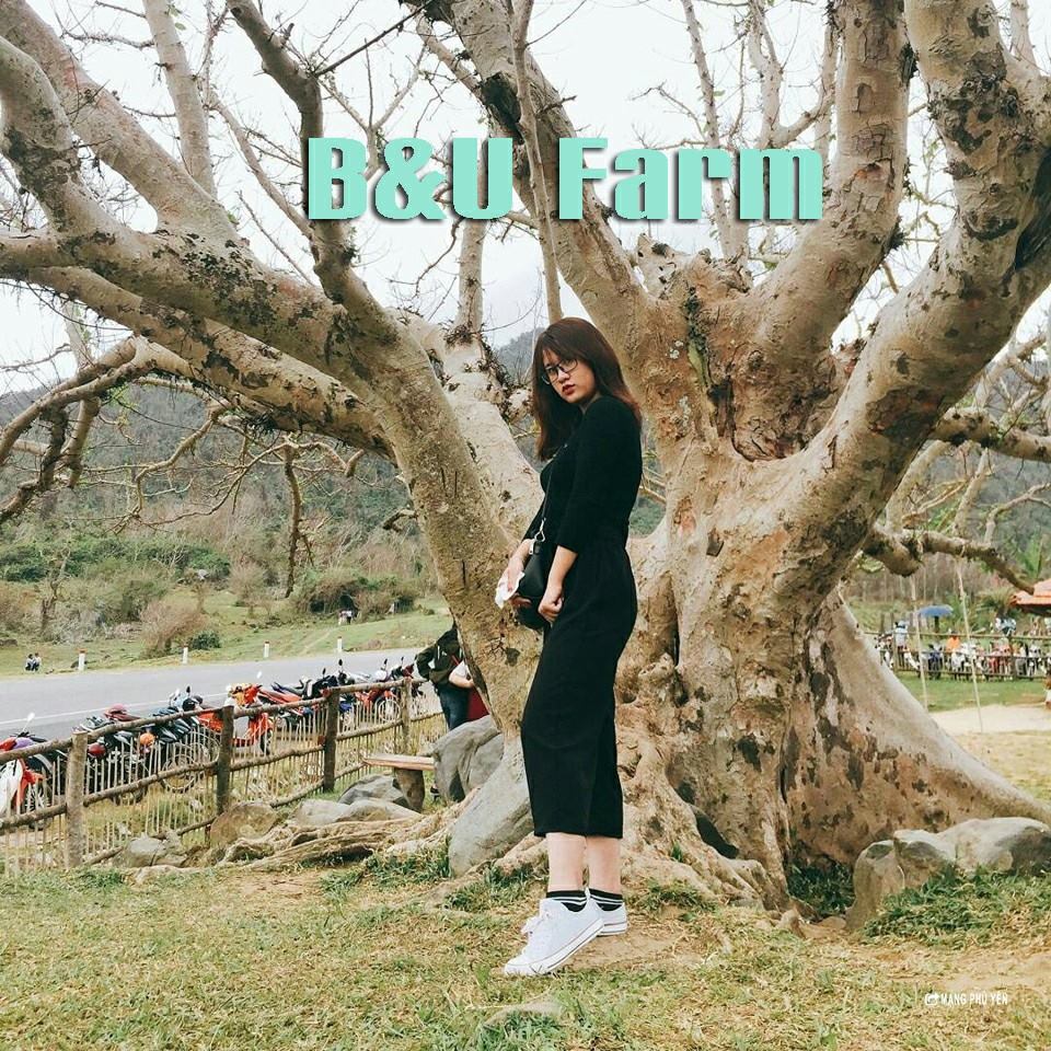B&U Farm