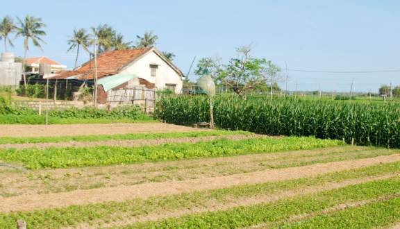 Làng Rau Ngọc Lãng