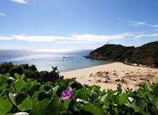 Bãi Biển Bãi Môn