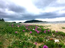 Bãi Biển Bãi Môn