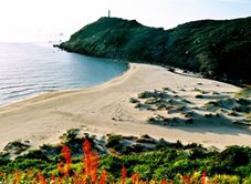 Bãi Biển Bãi Môn