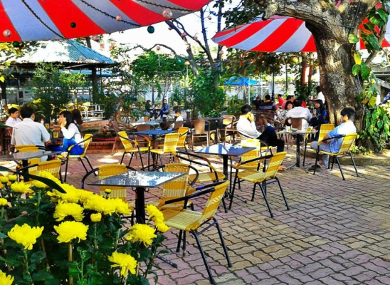 Cafe Nhịp Sống Trẻ 