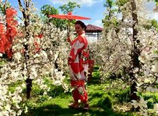 Phim Trường Bambi