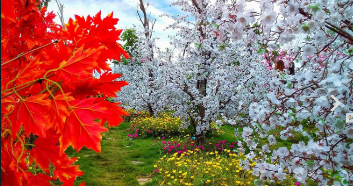 Phim Trường Bambi