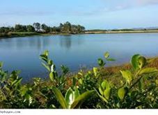 Cao Nguyên Vân Hòa