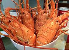 Cửu Long - Cơm & Hải Sản Tươi Sống