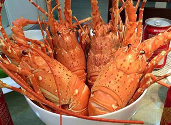 Cửu Long - Cơm & Hải Sản Tươi Sống