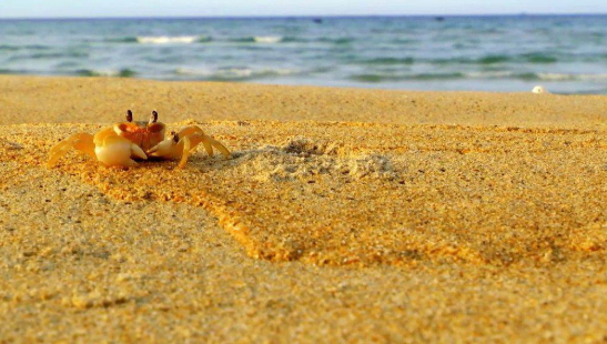 Khu Du Lịch Hòa Lợi