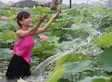 Đầm Sen Tây Hoà