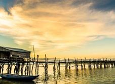 Cầu Gỗ Ông Cọp