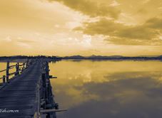 Cầu Gỗ Ông Cọp