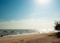 Bãi Biển Tràm