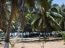 Bãi Biển Vịnh Hòa