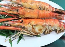 Biển Rừng - Hải Sản Tươi Sống