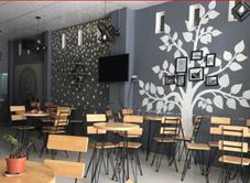 HALO Coffee & Milk Tea