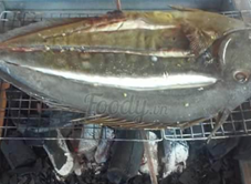 Ghềnh Đá Đĩa - Cơm & Hải Sản Tươi Sống