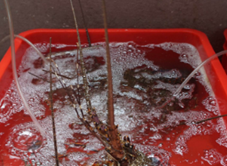 Nhà Hàng Thiên Trường