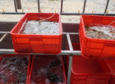 Nhà Hàng Thiên Trường