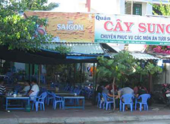 Cây Sung - Món Ăn Tươi Sống