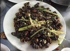 Chúc Xíu - Hải Sản Tươi Sống