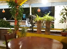 Du Thuyền Lạc Hồng - Nhà Hàng & Cafe