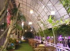 City View Restaurant - Kaya Hotel