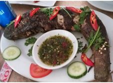 Khu Du Lịch Sinh Thái Thuận Thảo