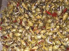 Cỏ - Trà Sữa & Ốc Đá Sông Ba