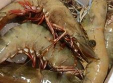 Thuỷ Sản Hùng Phong