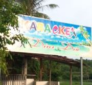 Dừa Đôi Karaoke