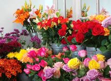 Hoa Tươi Thanh Trúc