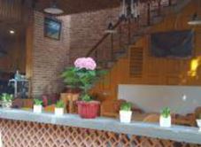 Cafe Hoa Vàng Cỏ Xanh