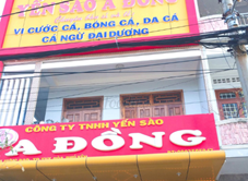 Yến Sào A Đồng