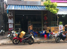 Cá Cảnh Ông Già