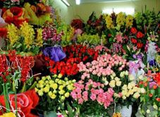 Hoa Tươi Minh Đôn