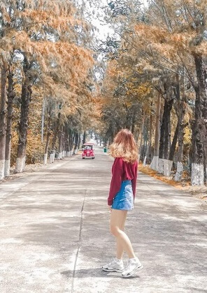 Đặt Tour City Quy Nhơn 1 Ngày Giá Rẻ【Gọi 0989.412.788】