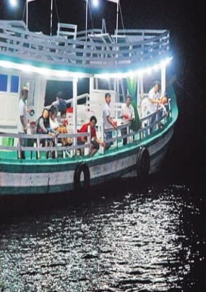 Tour Câu Mực Đêm Phú Yên 1 Ngày